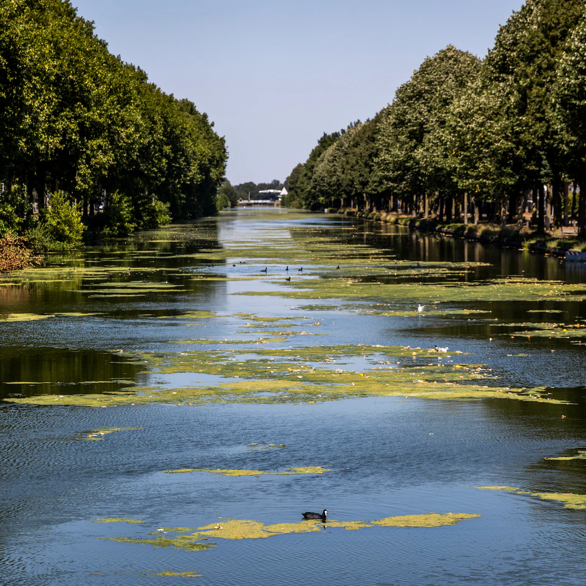 PFAS and discharge permits: a current issue